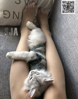 2018年国产丙肝药_国产剧免费观看超清