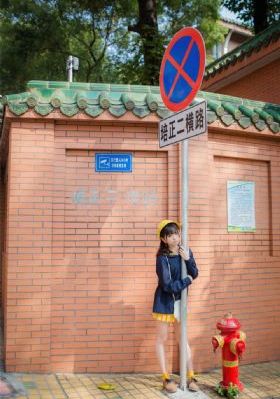 精品少妇一区二区三区免费观_国产剧在线视频观看